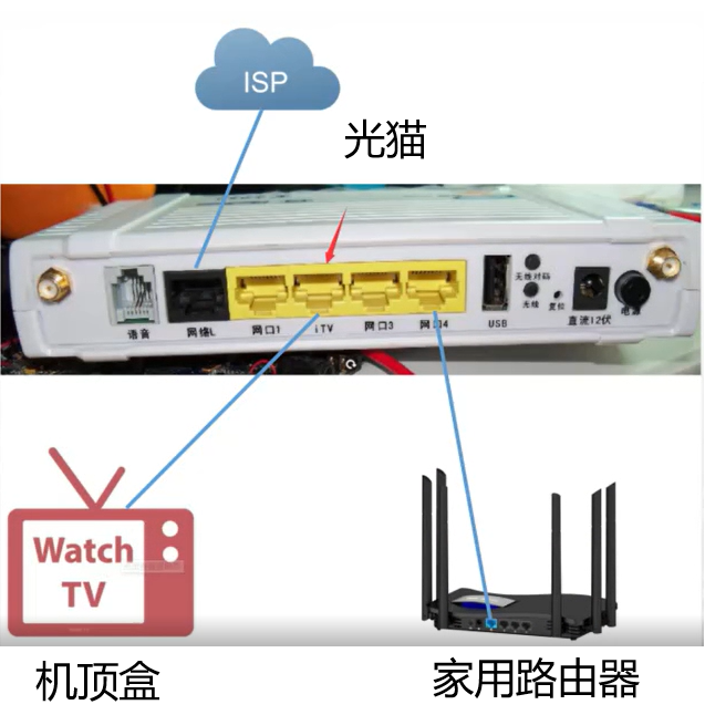 十三国际官网-追求康健,你我一起生长